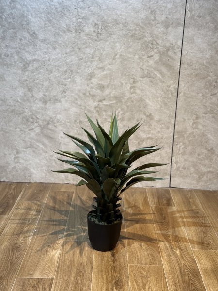 الوفيرا TV-13